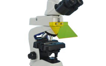 Kính hiển vi huỳnh quang Mf23